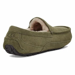 UGG Ascot Herrenpantoffel Olivgrün 14