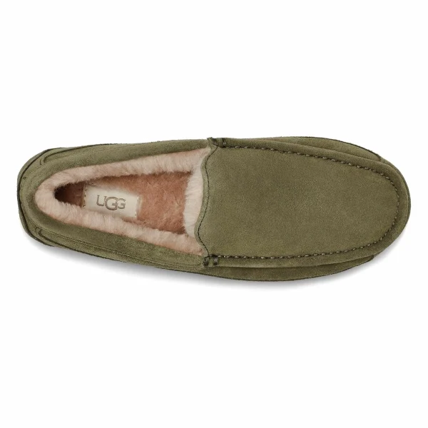 UGG Ascot Herrenpantoffel Olivgrün 6