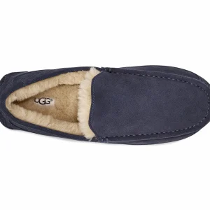 UGG Ascot Marine 16