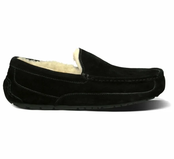 UGG Ascot Schwarz 1