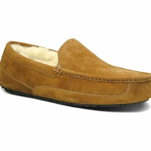 UGG Ascot Braun 10