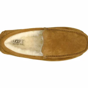 UGG Ascot Braun 16