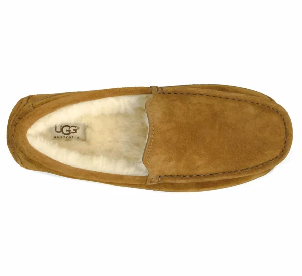 UGG Ascot Braun 6