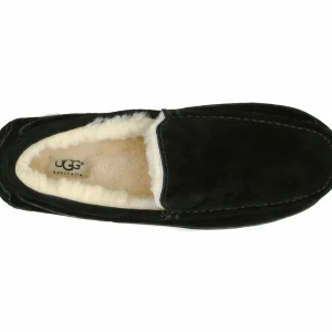 UGG Ascot Schwarz 16