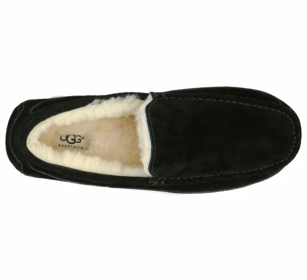 UGG Ascot Schwarz 6